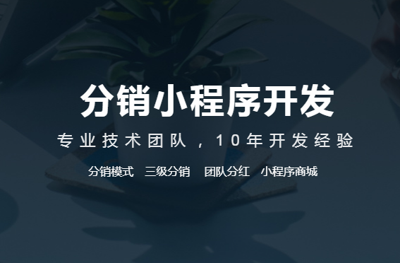 分銷小程序開發(fā)多少錢