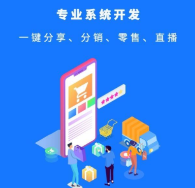 分銷系統(tǒng)開發(fā)過程中有哪些重要事項要注意？